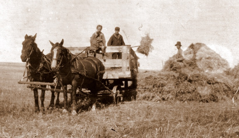1905 Ranch Trochu Suzanne à l'avant